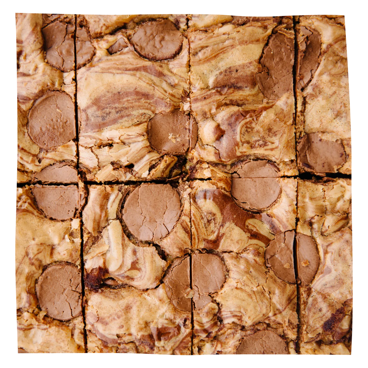 A close up of cooked brownies