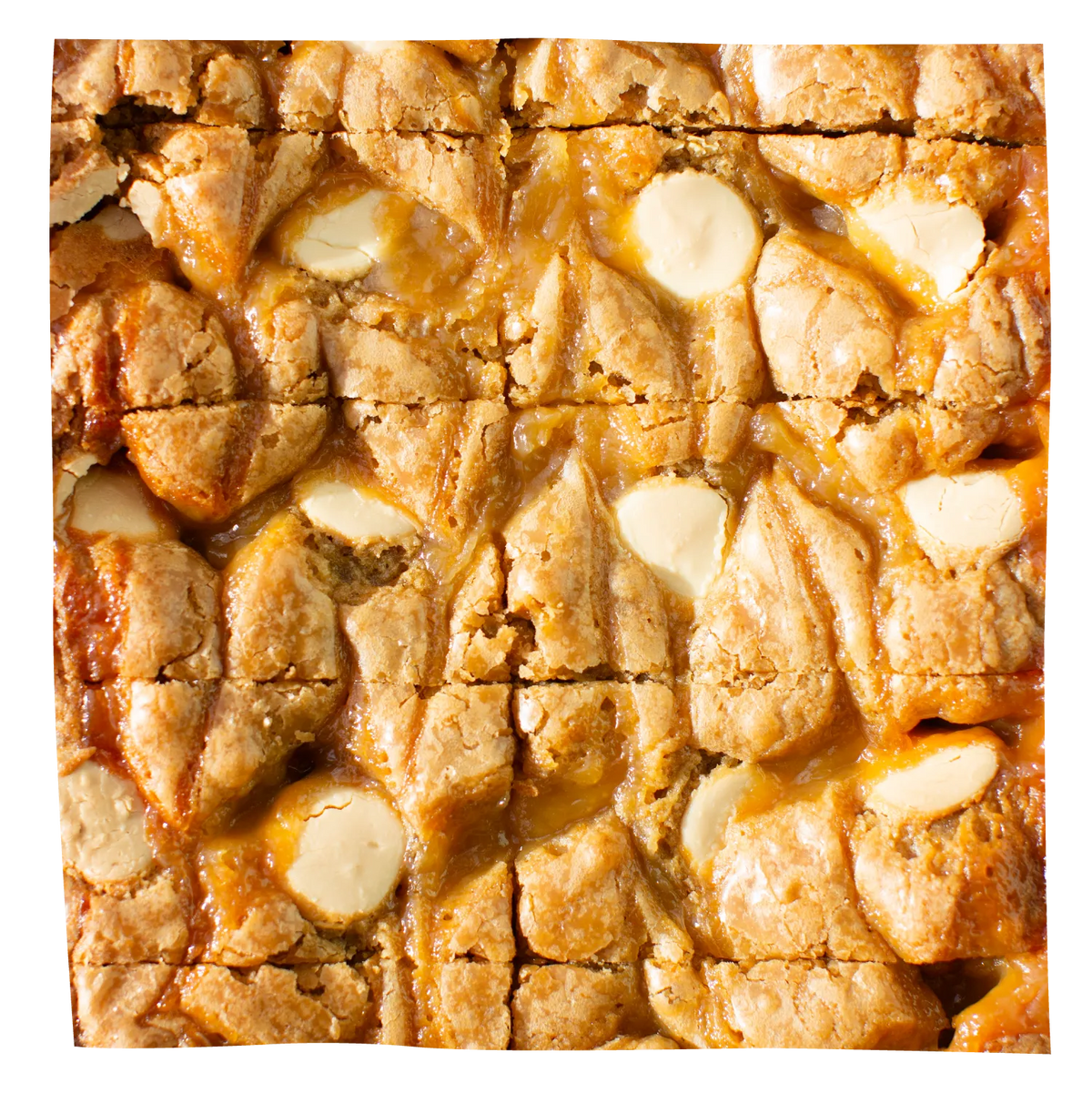 A top-down close-up of a baked blondie brownies, cut into rectangular sections
