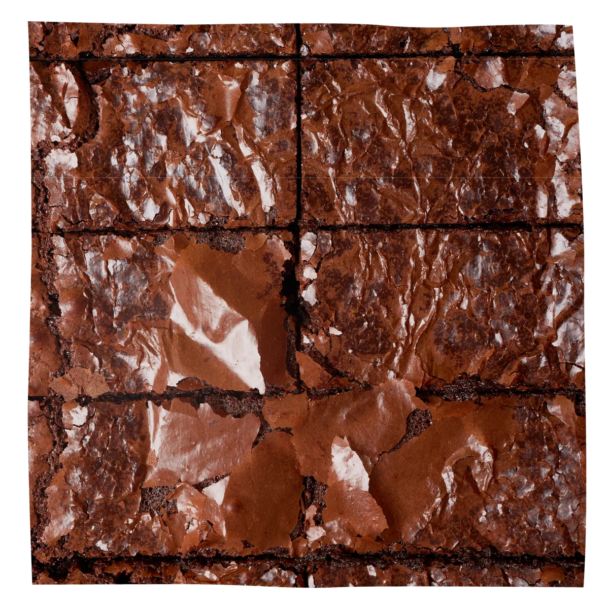 A square close-up of brownies